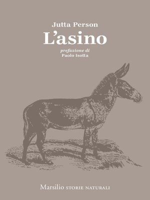 cover image of L'asino